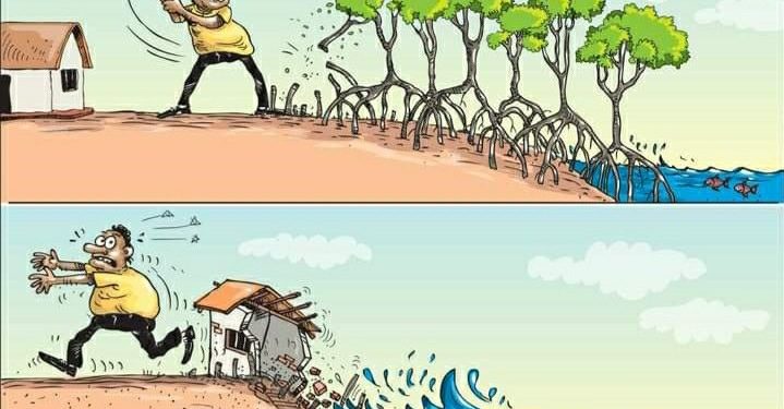 دينامية البيئة والمخاطر الطبيعية في منطقة البحر الأبيض المتوسط