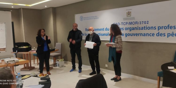 الرباط : FAO تختتم دورة تدريبية حول تعزيز أداء المنظمات المهنية في الصيد التلقيدي