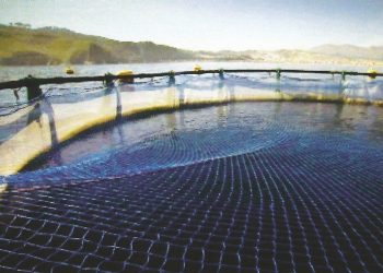 الجمعية المغربية للطلبة المهندسين في الصيد البحري تنظم منتدى حول تربية الأحياء المائية في المغرب