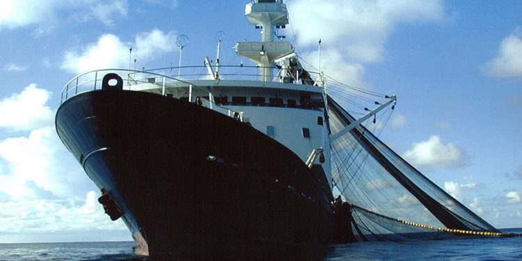 مؤتمر دولي لتعزيز سلامة قطاع الصيد