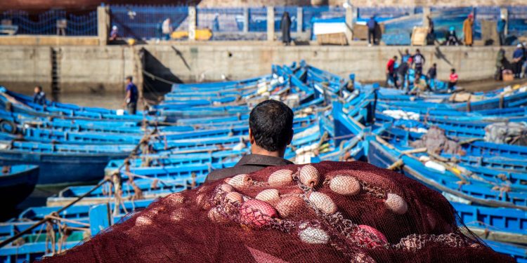 أكادير: مجانية الدفتر البحري تورط مهنيين في التربح و المتاجرة بمعاناة البحارة