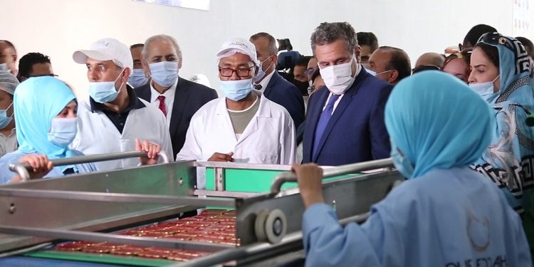 أربع وحدات في الصناعات السمكية تعزز القطب الأقتصادي بالداخلة