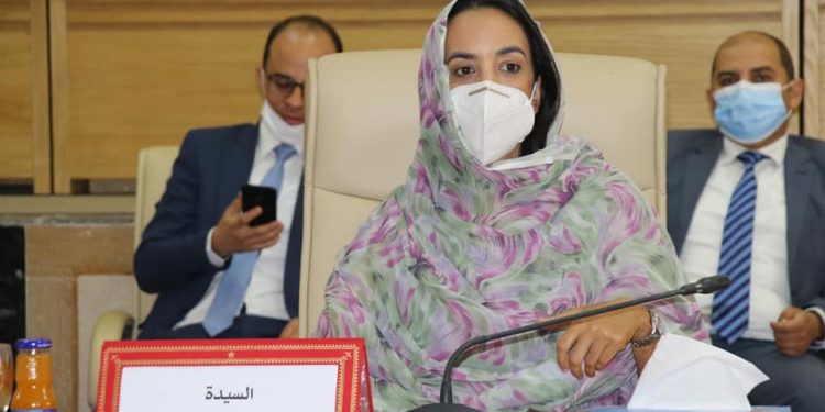 طانطان:مجلس جهة كلميم يصادق على احداث منطقة صناعية