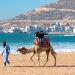 “زور بلادك” التصور الجديد لجذب السياح المغاربة
