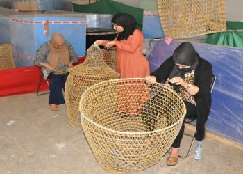 نساء الريف يخضن تحدي حماية البيئة البحرية و استدامة الثروة السمكية