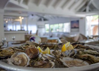 المحار بالوليدية.. قطاع واعد ورافعة مهمة للتنمية المحلية