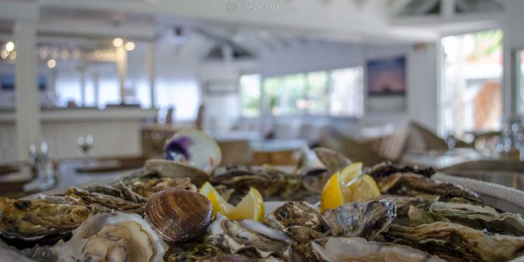 المحار بالوليدية.. قطاع واعد ورافعة مهمة للتنمية المحلية