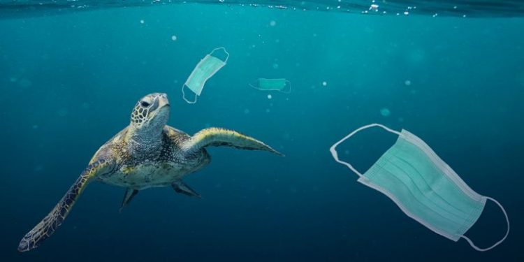 إغلاق المصايد بالمغرب هل هي حالة طوارئ صحية لمواجهة جائحة التغيرات المناخية