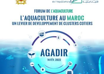 أكادير تحتضن النسخة الثانية من منتدى تربية الاحياء البحرية