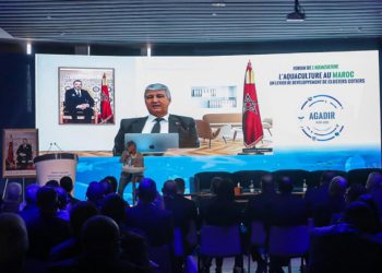 الصديقي يستعرض خطة وزارة الصيد البحري لتنمية الأحياء البحرية