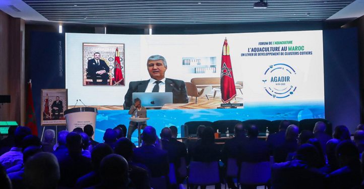 الصديقي يستعرض خطة وزارة الصيد البحري لتنمية الأحياء البحرية