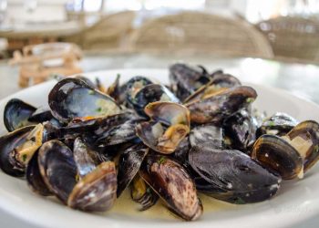 سوس ماسة، جهة بإمكانات كبيرة في مجال تربية الأحياء المائية