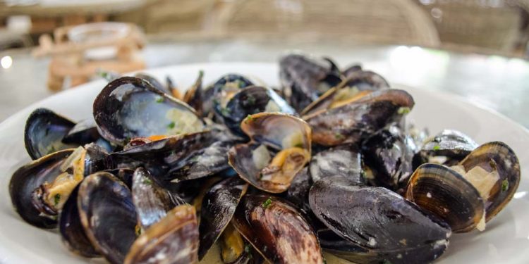 سوس ماسة، جهة بإمكانات كبيرة في مجال تربية الأحياء المائية