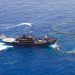 نشطاء  Sea Shepherd يحررّون 800 سمكة تونة من أقفاص عائمة غير قانونية