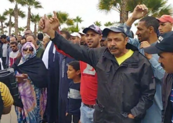 تحذيرات من استغلال شعار “مكافحة الصيد غير القانوني” على غرار “من ليس معي فهو ضدي”