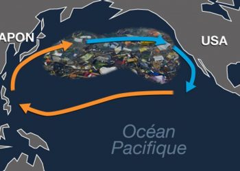 دراسة تشكف تورط خمس دول كبرى في صناعة الصيد في تشكيل “قارة البلاستيك /القارة السابعة “