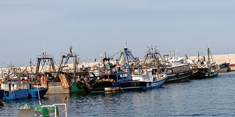 أسطول الصيد المتوسطي يستسلم أمام ارتفاع أسعار الوقود