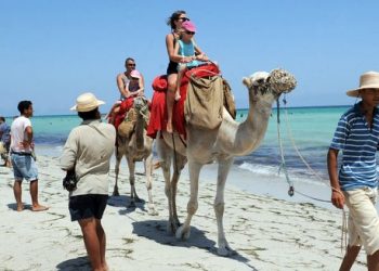 مجلس النواب يصادق على مشروع لتنظيم مهنة المرشد السياحي.