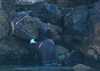 علماء البيئة يدينون الصيد الجائر  بالخيط في مارو