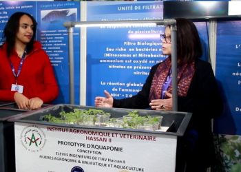 المغرب يلج تجربة الاستزراع السمكي المندمج مع الفلاحة