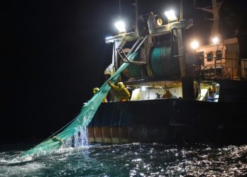 الولايات المتحدة تنظم الى اتفاقية منظمة التجارة العالمية الخاصة بحظر إعانات صيد الأسماك