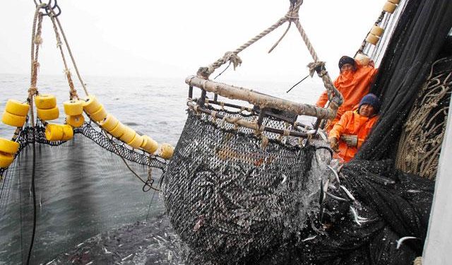 الاتحاد الاوربي يراجع نظام مراقبة مصايد الأسماك