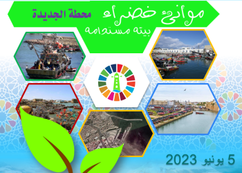 في اليوم العالمي للبيئة : ميناء الجديدة يستعد لإطلاق أول مبادرة نوعية لحماية البيئة البحرية.