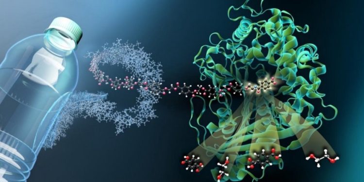 اكتشاف بكتيريا بحرية قادرة على التهام  البلاستيك