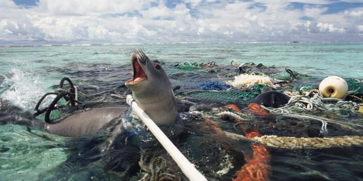 الكومافات تجمع خبراء البيئة و علوم المحطيات لمواجهة خطر التلوث البلاستيكي للمحيطات
