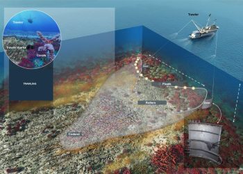 دراسة: الصيد بالجر مسؤول عن انبعاث 370 مليون طن متري من CO2 في الجو