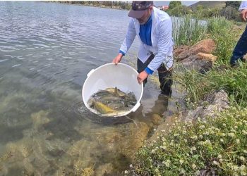 اللجنة الوطنية للصيد في المياه القارية تستعرض خطتها في الصيد الداخلي وتربية الأحياء المائية.