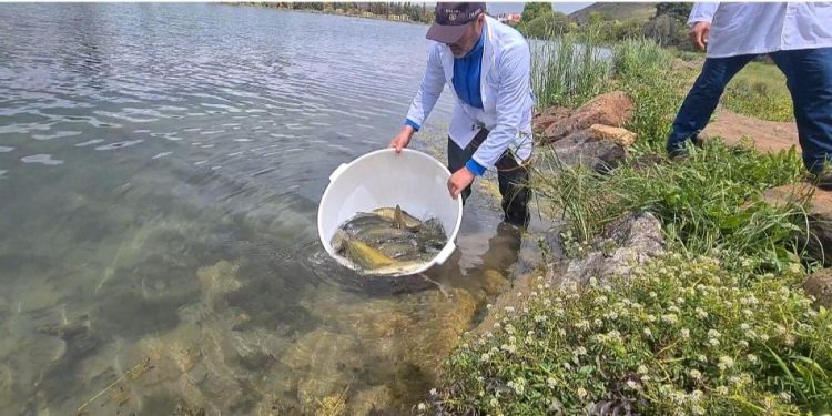 اللجنة الوطنية للصيد في المياه القارية تستعرض خطتها في الصيد الداخلي وتربية الأحياء المائية.