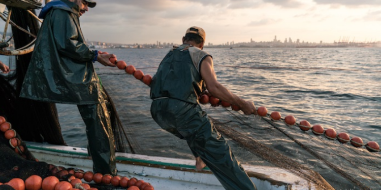 حول زيادة 25 سنتيم في ثمن السردين الصناعي: الزيادة هاهي و الضمانات فين هي.