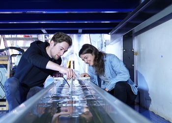 علماء ينجحون في حل اشكالية نفوق الأسماك النهرية.