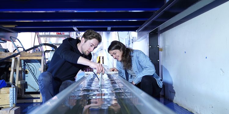 علماء ينجحون في حل اشكالية نفوق الأسماك النهرية.