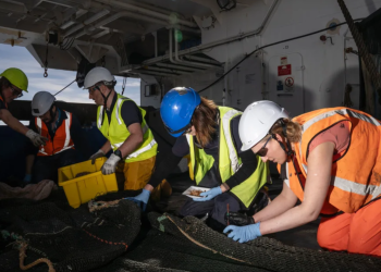 رحلة علمية في أعماق البحر تسفر عن اكتشاف 100 نوع جديد و مخلوقات غامضة