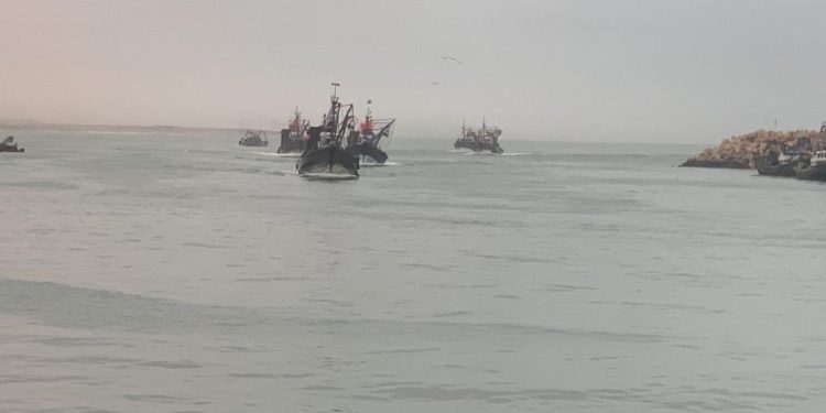 ترمل بوابة ميناء طانطان يهدد الأرواح و الممتلكات و الجاذبية الاقتصادية