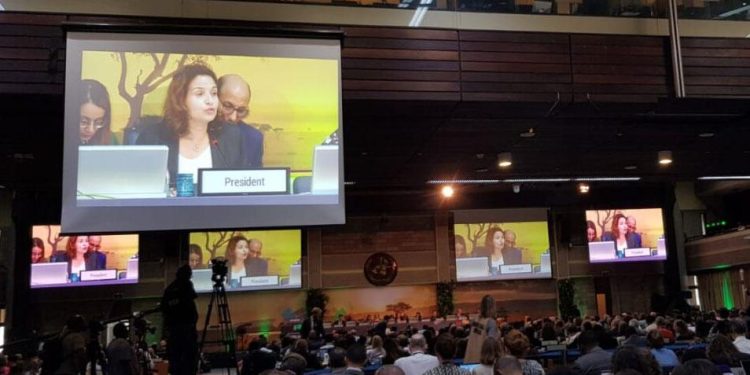 جمعية البيئة التابعة للأمم المتحدة تعتمد قراراً لتعزيز العمل من أجل المحيطات