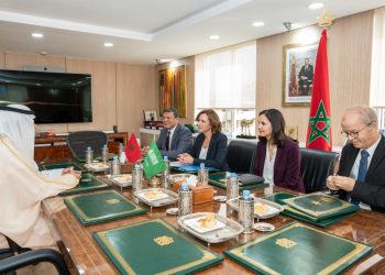 تعزيز التعاون السياحي: جلسة عمل بين السيدة عمور والسفير السعودي