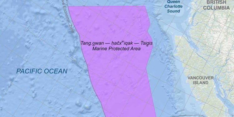 كندا: أكبر منطقة بحرية محمية تبصر النور في المحيط الهادي