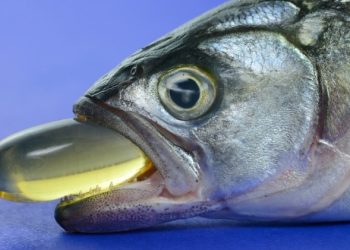 علماء يبحثون إمكانية استخدام بدائل زيت السمك في إنتاج أسماك المستزرعة