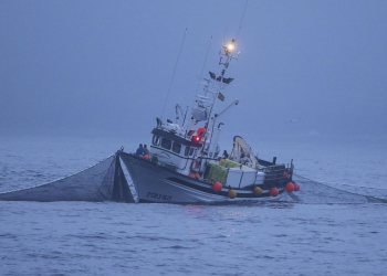 بسبب الفشل في المحافظة على الأرصدة، علماء  يقترحون مفهوم جديدا للصيد المستدام