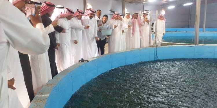 السعودية: إنتاج الاستزراع السمكي يحقق أرقاماً قياسية