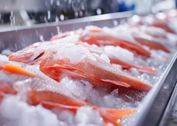 المغرب يتصدر قائمة الدول الممونة للسوق الروسي من الأسماك المجمدة