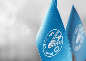 المغرب يشارك في أشغال منتدى الأغذية العالمي بمقر منظمة (الفاو).