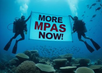 الكومافات تجمع خبراء علوم البحار بأفريقيا حول المحميات البحرية و التنوع البيولوجي