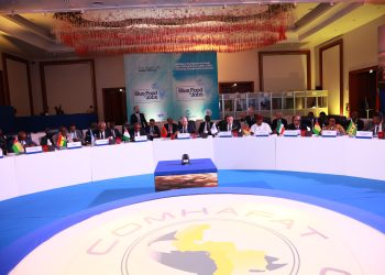 الكومافات :اجتماع رفيع المستوى لتوحيد الكلمة قبل قمة المحيطات2025.