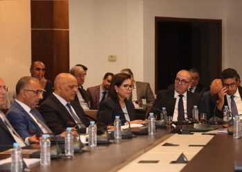 مجلس المستشارين: الدريوش تترافع عن الميزانية القطاعية برسم سنة 2025 أمام أعضاء لجنة القطاعات الإنتاجية
