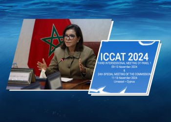 الدورة 24 ل (ICCAT): المغرب ينتزع زيادات معتبرة في حصص التونيات