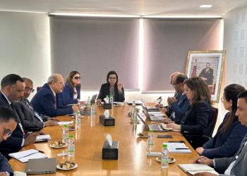 الدريوش تباشر لقاءات مع المسؤولين حول سبل تجويد قطاع التسويق السمكي